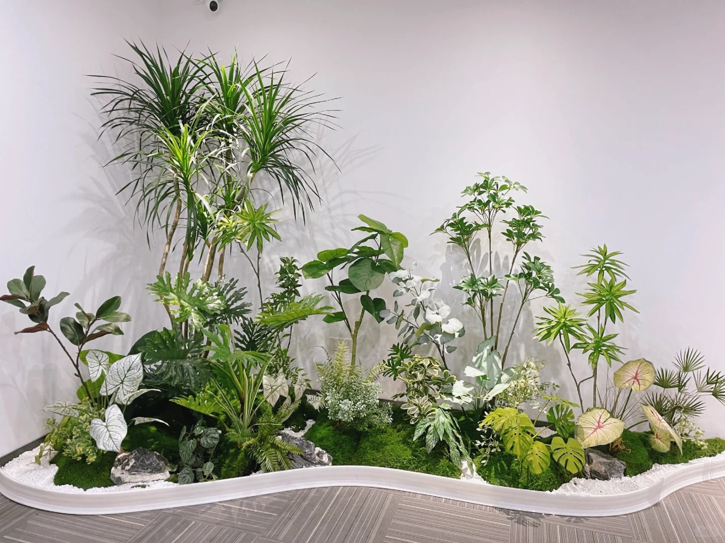 余姚专业植物租摆，为家居增添别样生机！